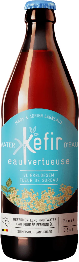 Kéfir Fleurs de Sureau BIO